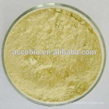 Enzym Bromelain (2400GDU / g) CAS Nr. 9001-00-7, Bromelain Pulver